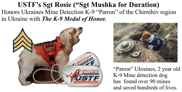 ustf honors ukraine k-9 patron with k-9 medal of honor