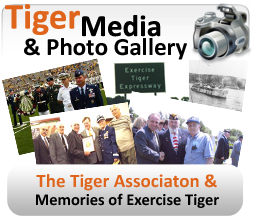 Tiger Photo Gallery